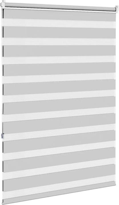 Produktbild vidaXL Zebra-Jalousie (95 x 150 cm)