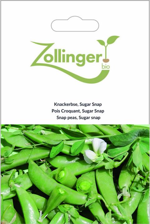 Actual product image Zollinger Bio Knackerbse, Sugar Snap (Sprouts)