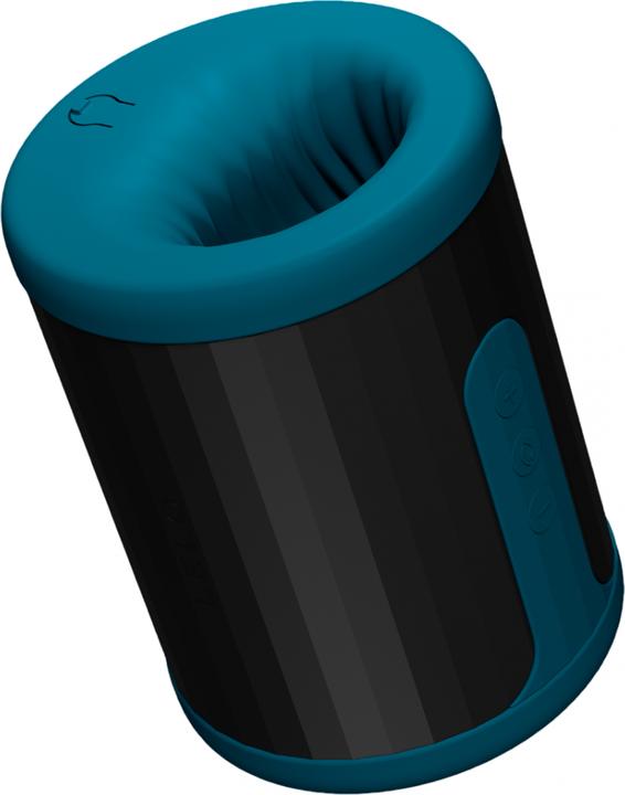 Actual product image LELO F2S