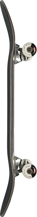 Actual product image Globe G1 ARGO (31.87")