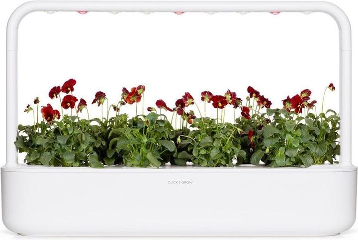 Actual product image Click and Grow Red Pansy Seeds 3-Pack
