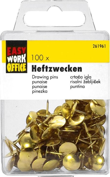 Actual product image Easy Work Brass-plated tacks 100 pcs (12 Piece, 90 mm)