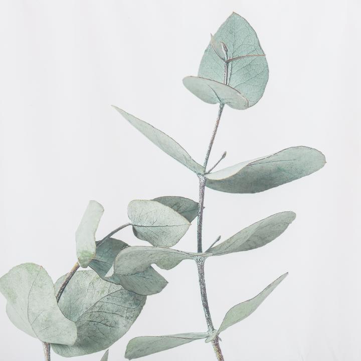 Image du produit pfister Kaja (120 x 200 cm)