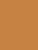 Actual product image Erborian Super BB Covering Care Cream (Caramel)
