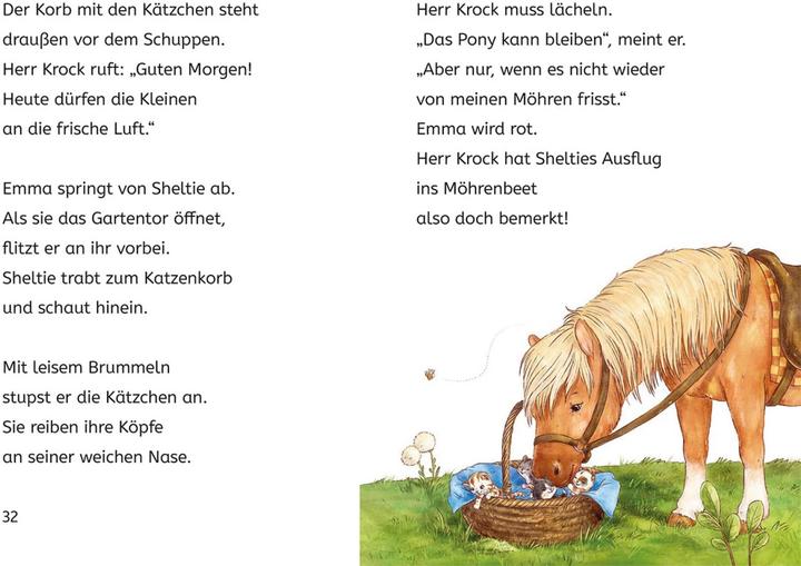 Actual product image Kosmos Sheltie, Bücherhelden 1. Klasse, Sheltie und die Katzenbabys (German, Carola of Boiler, Nadine Reitz, 2024)