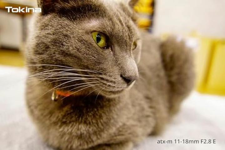Immagine prodotto Tokina ATX-M 11-18mm F2.8 Sony E (Sony E, APS-C / DX)