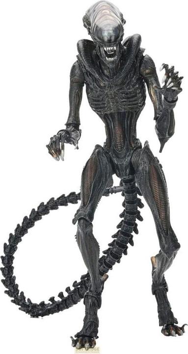 Actual product image Neca Alien: Romulus Ultimate Scorched Xenomorph