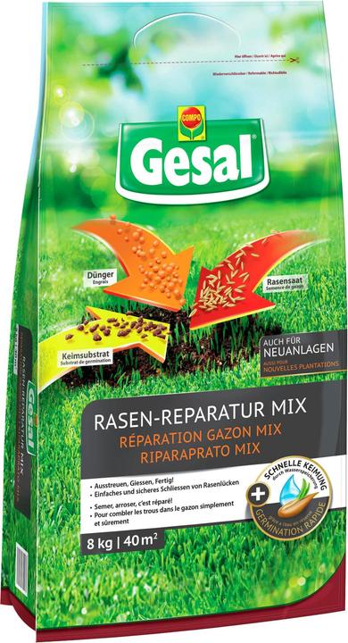 Gesal Rasen-Reparatur MiX (Rasensamen)