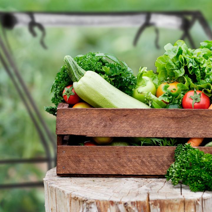 Produktbild Relaxdays Folienfrühbeet