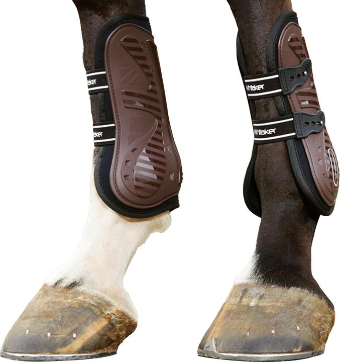 Produktbild Gamaschen Bingley 4erPack