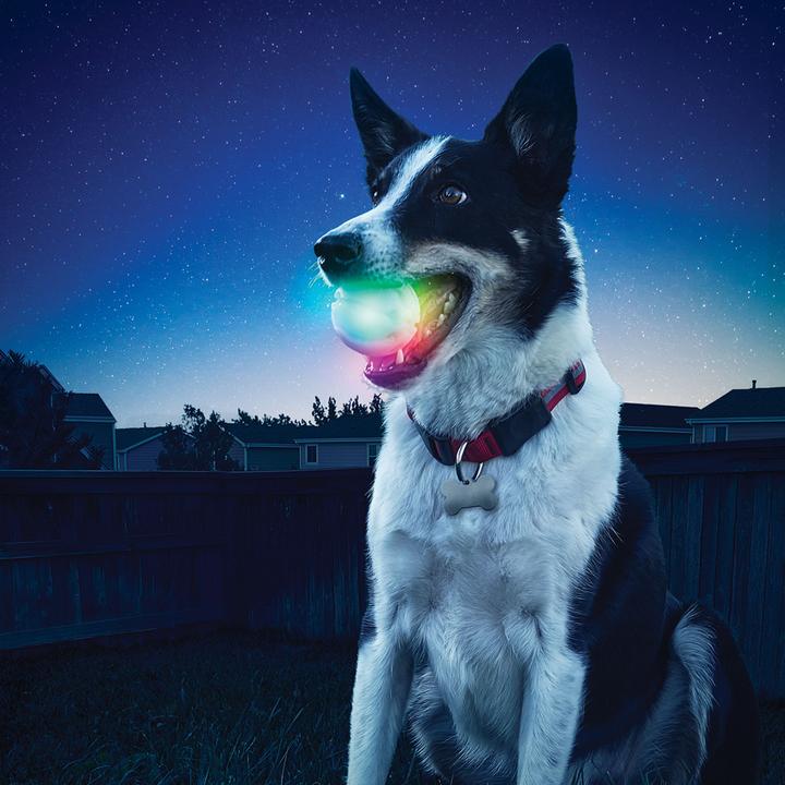Immagine prodotto Nite Ize LED Glowstreak (Palla giocattolo per cani)