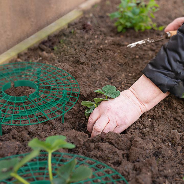 Immagine prodotto Relaxdays 8x supporti per fragole (30 cm, 30 cm)