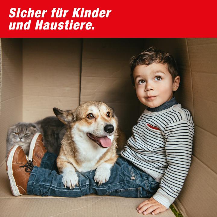 Produktbild Swissinno Lebendfalle MausHaus 1er