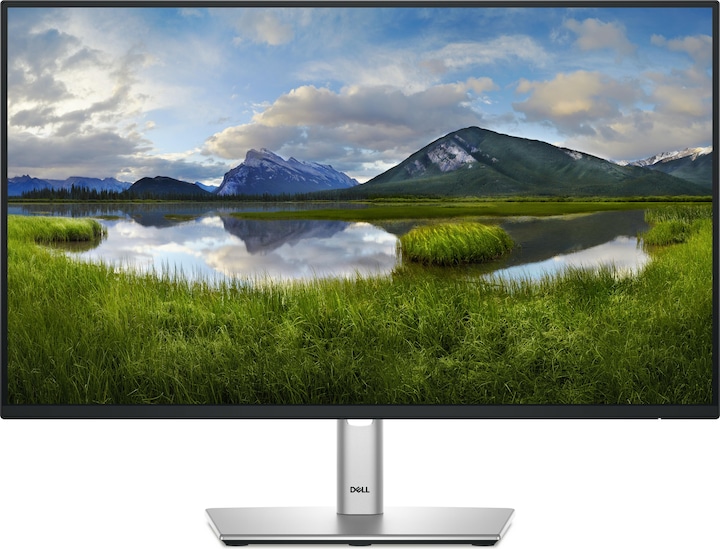 Dell P2425H (1920 x 1080 Pixel, 23.80")