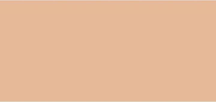 Actual product image Sisley Stylo Correct No 2 (2 Light)