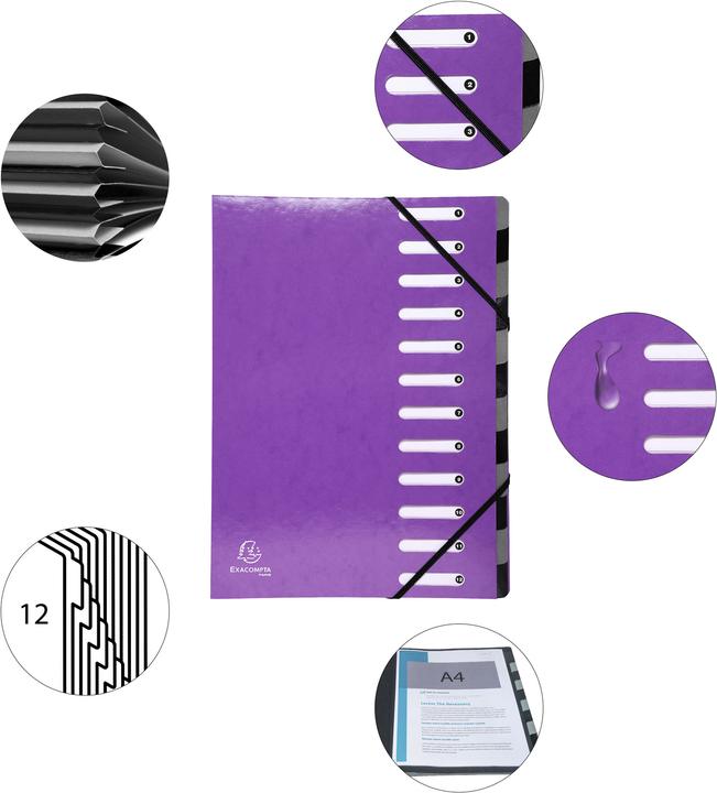 Actual product image Exacompta Folder Iderama (A4, 60x)