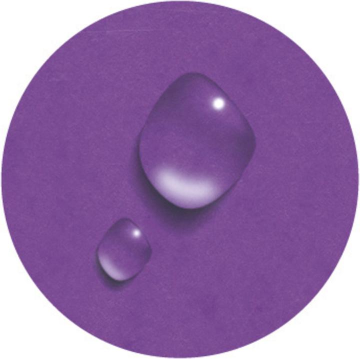 Actual product image Exacompta Folder Iderama (A4, 60x)