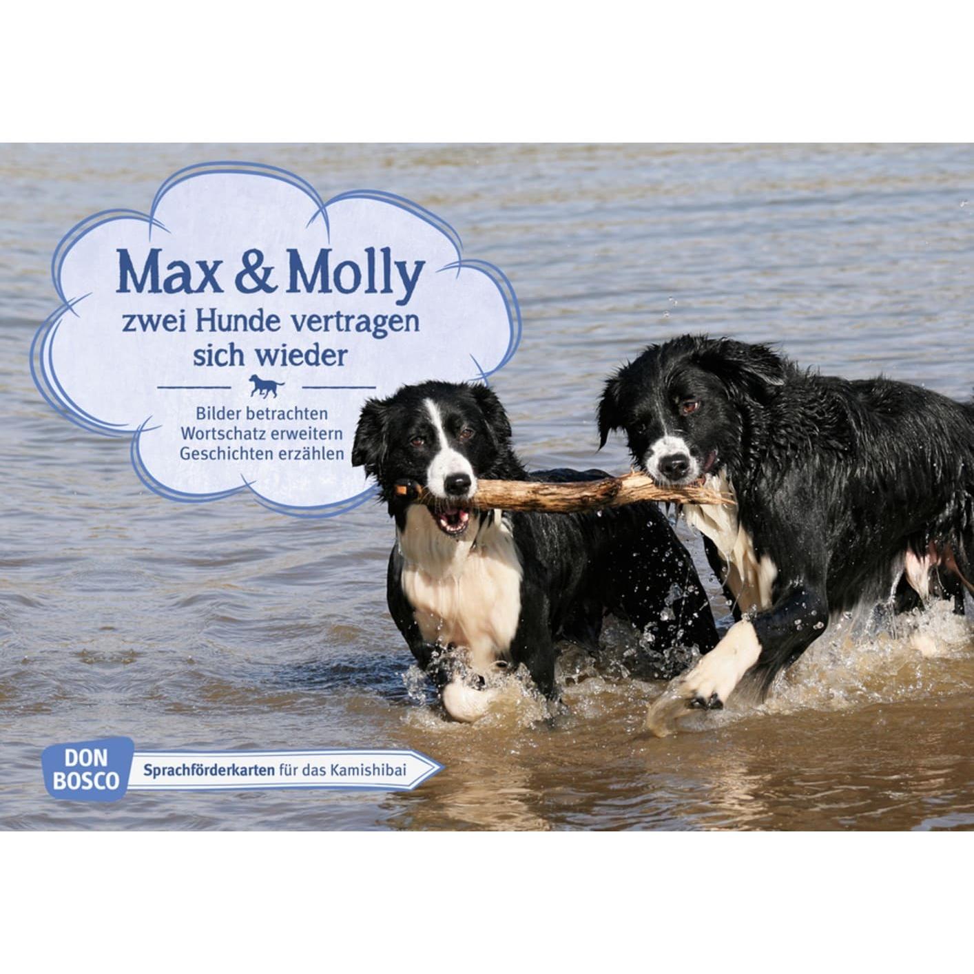 Wieber:Max und Molly - zwei Hunde vertr, Schulbücher von Monika Wieber