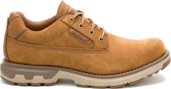 Actual product image Cat Pursue Lo (46)