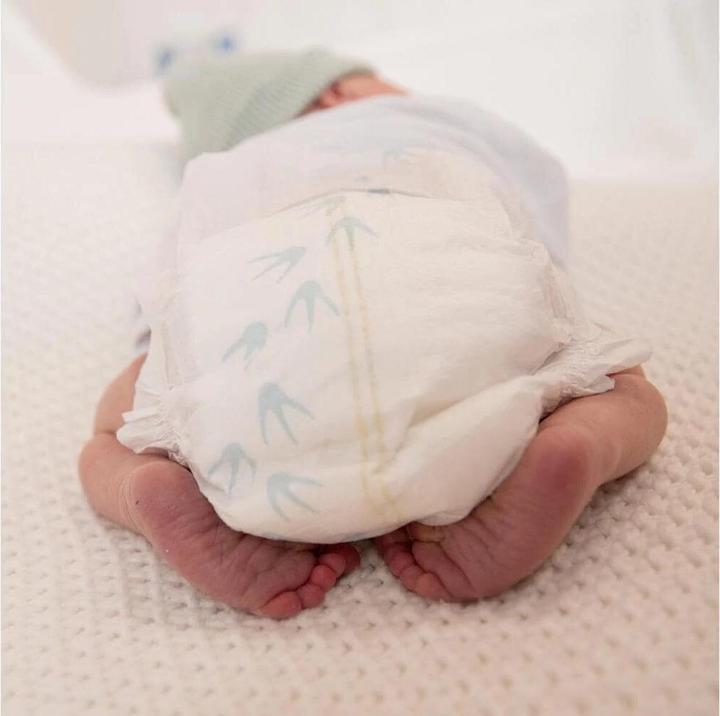 Produktbild Pingo Ökowindeln (Gr. 2, Monatsbox, 252 Stk.)