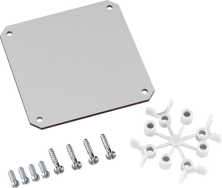 Actual product image Spelsberg TK Mounting plate for plastic housing (Various)