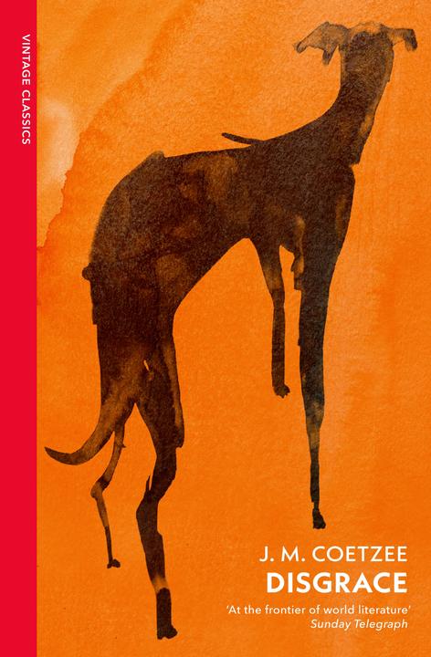 Image du produit Disgrace (Anglais, J M Coetzee, J.M. Coetzee, 2024)