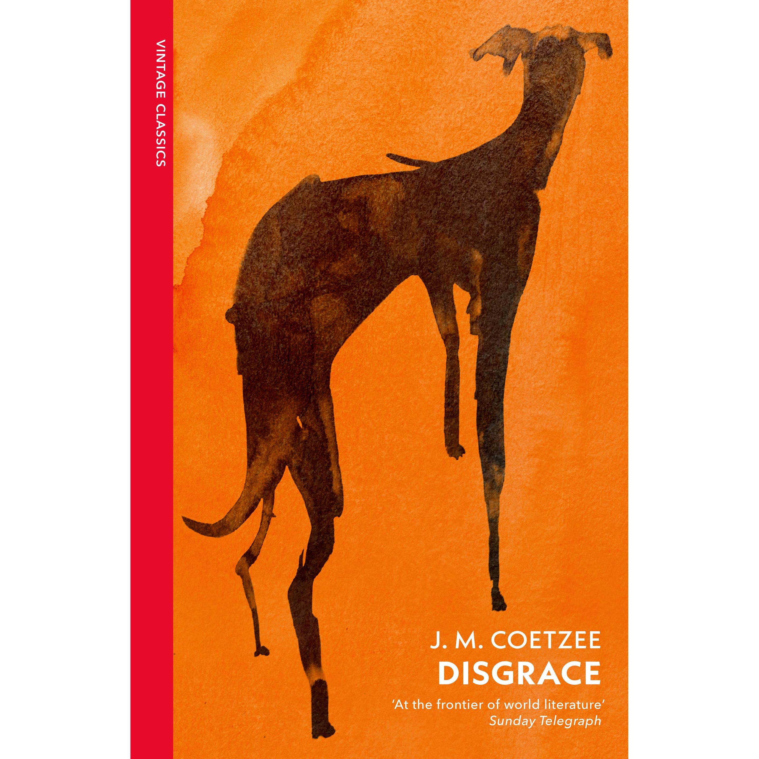 Disgrace, Belletristik von J M Coetzee
