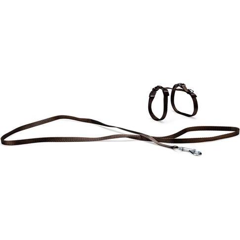 Karlie Art Sportiv Plus Geschirr und Leine (Katze, Allgemein), Halsband + Leine