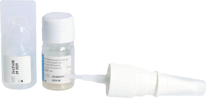 Actual product image Spagyros Spagysin Sinusitis Nasenspray 50 mg Extrakt Cyclamen gefriergetrocknet und Lösungsmittel (1 Piece)