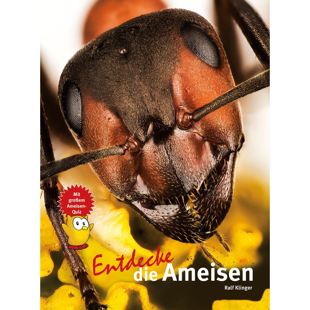 Entdecke die Ameisen, Kinderbücher von Ralf Klinger