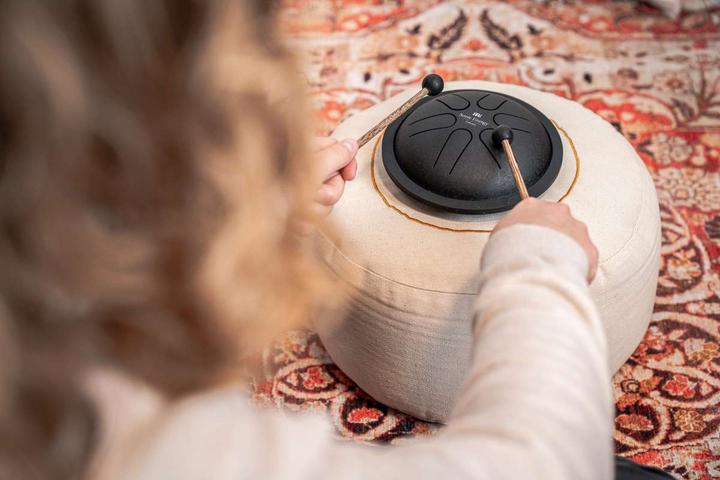 Image du produit Meinl Mini Steel Tongue Drum (Divers)