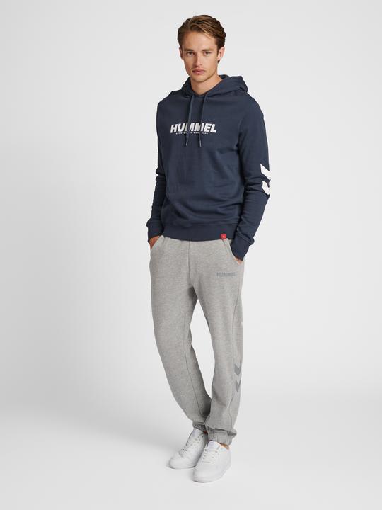 Actual product image hummel Legacy Logo Hoodie (XXS)