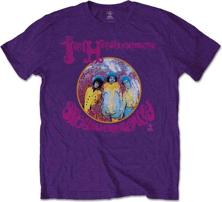 Jimi Hendrix Are You Experienced