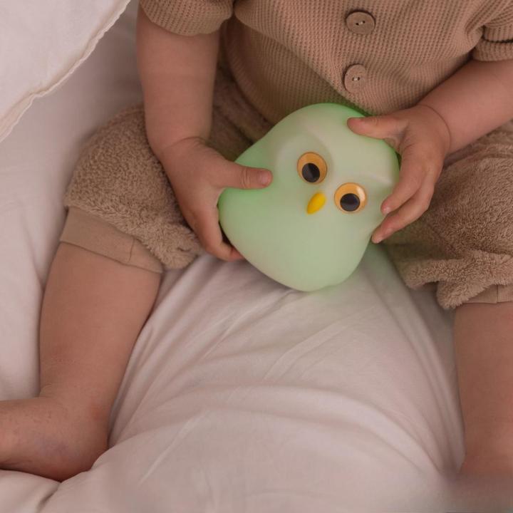 Produktbild Ecolight Lampe Eule