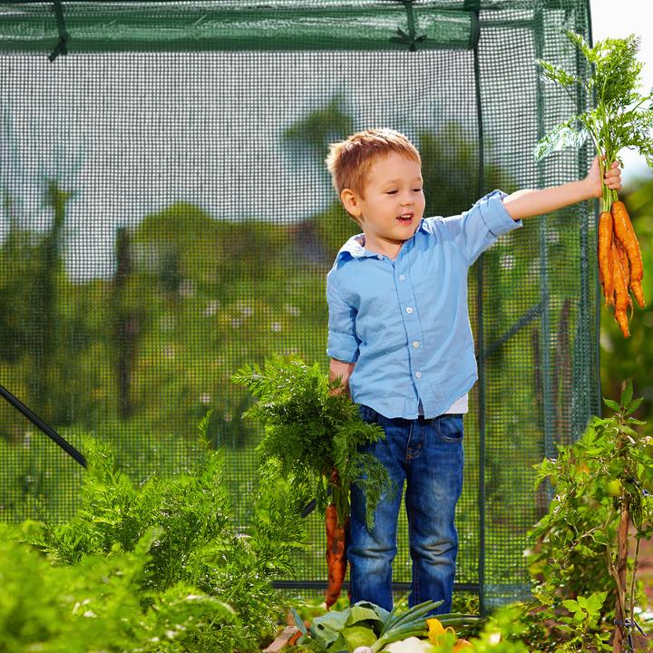 Actual product image Relaxdays Tomatengewächshaus