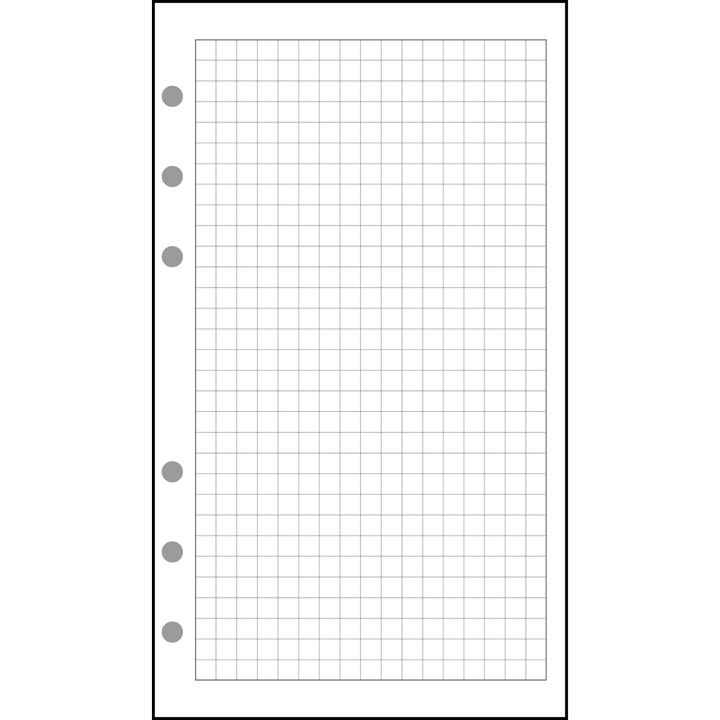 Produktbild Exacompta Nachfllung Exatime 17, karierter Block (5 x 5)