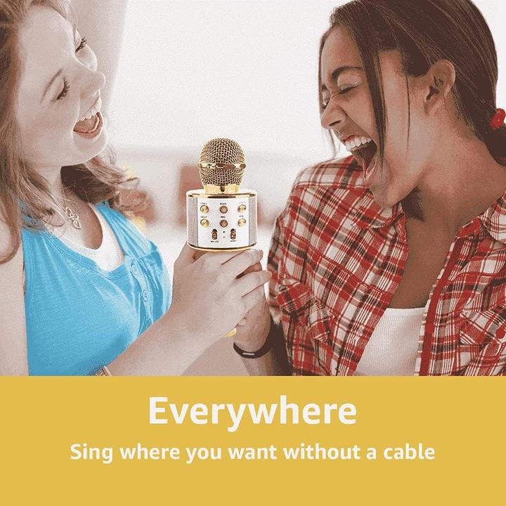 Produktbild Max Music Karaoke Mikrofone