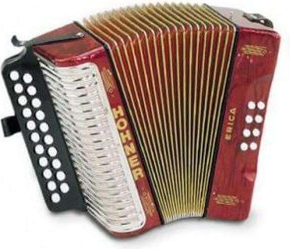 Hohner Fisarmonica diatonica G-C, 42 note, con cinghia, 2,5 kg (Fisarmonica pianoforte)