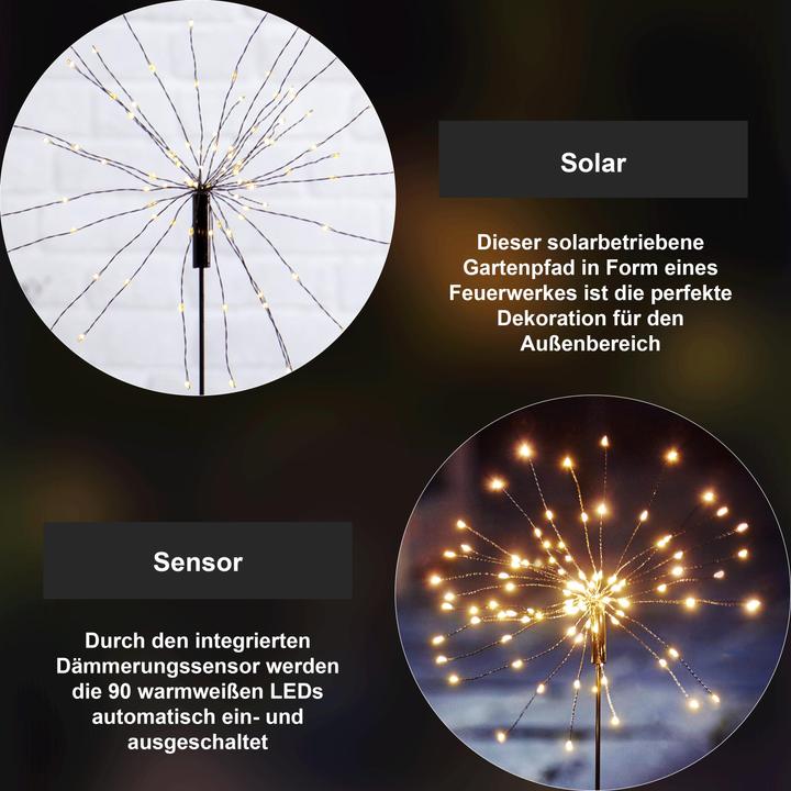 Image du produit Star Trading Firework (IP44)