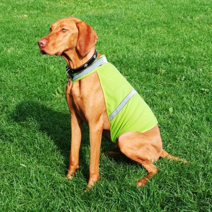 Actual product image Suba High-Visibility Safety Vest for Dogs – Size L (L, Dog vest)