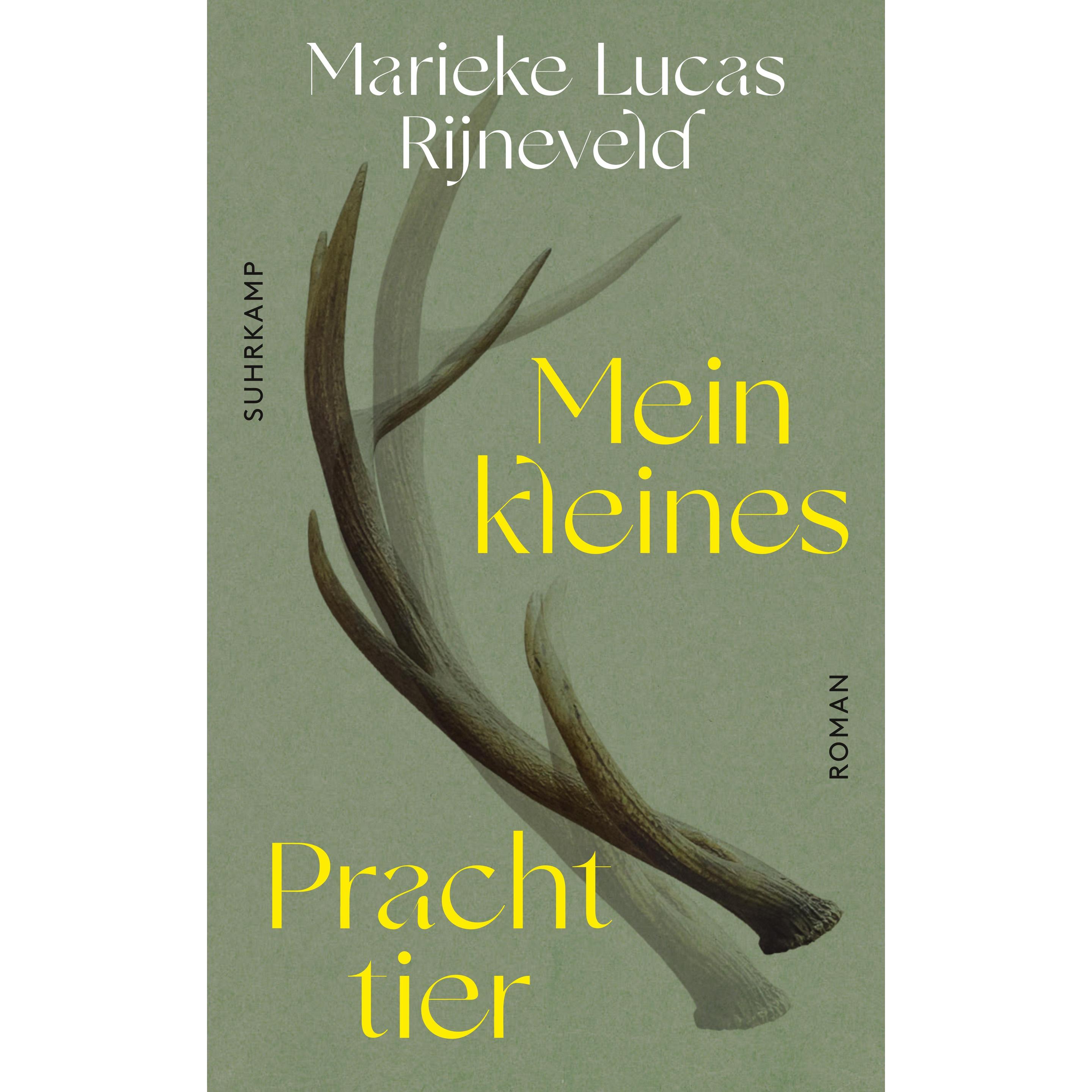 Mein kleines Prachttier, Belletristik von Lucas Rijneveld