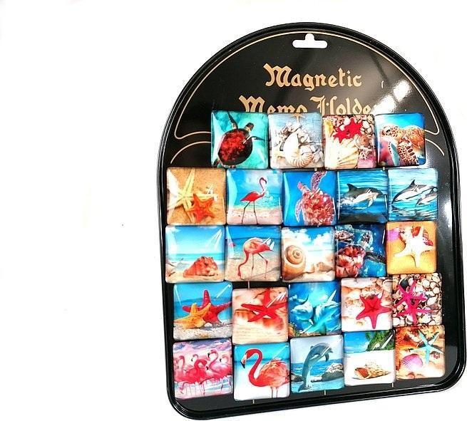 Actual product image Adar Meeresmagnete (24 Stück)