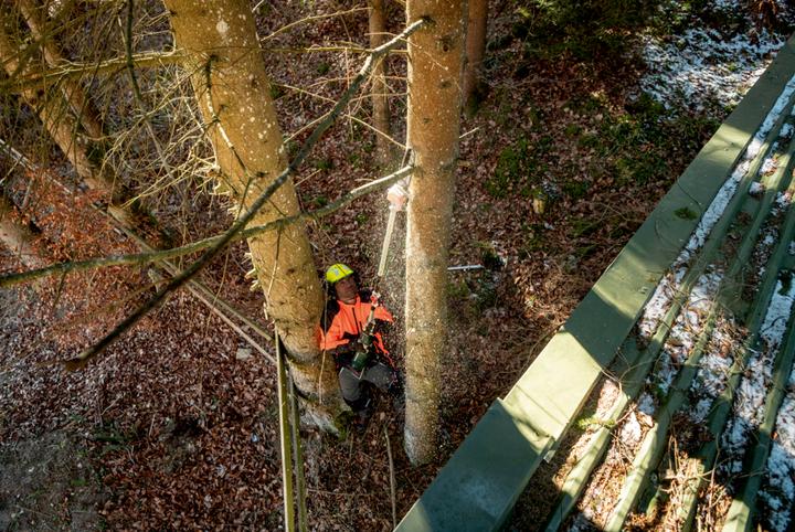 Productafbeelding Metabo MA-MS 25 (Accu kettingzaag)