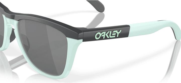 Image du produit Oakley Gamme Frogskins