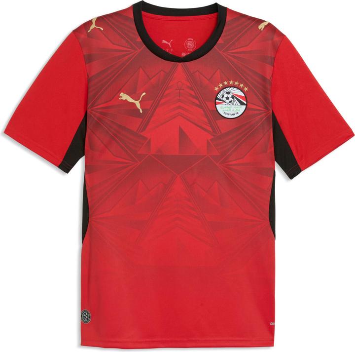 Image du produit Puma EFA Home Jersey Replica (L)