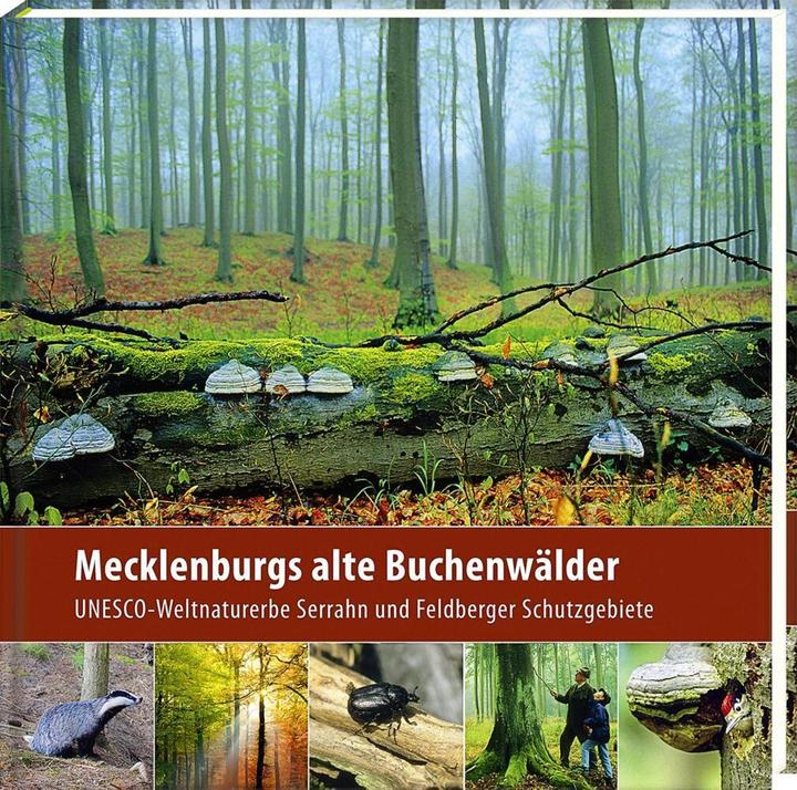 Produktbild Mecklenburgs alte Buchenwälder (Deutsch, Klaus Borrmann, 2012)