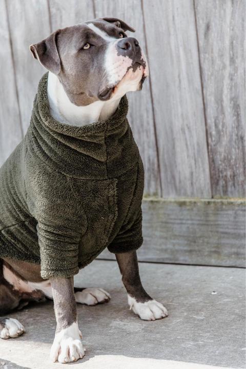 Produktbild Kentucky Dogwear Hundepullover Teddy Fleece (S, Hundepullover)