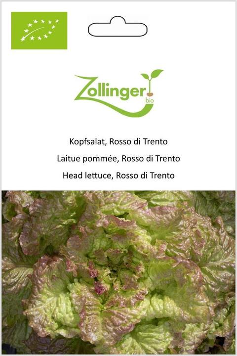 Image du produit Zollinger Bio Laitue pommée, Rosso di Trento (Germes)