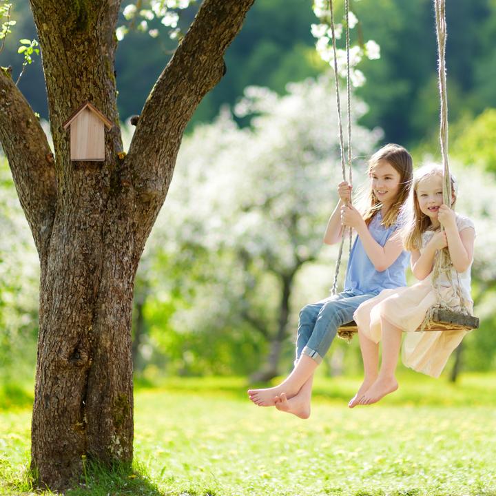 Produktbild Relaxdays Marienkäferhaus (Marienkäfer)