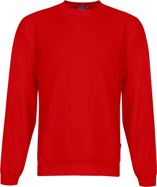 Actual product image Switcher Whale (XL)